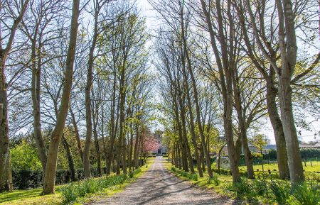 G&icirc;te n&deg;3329 Ryes - Calvados - photo